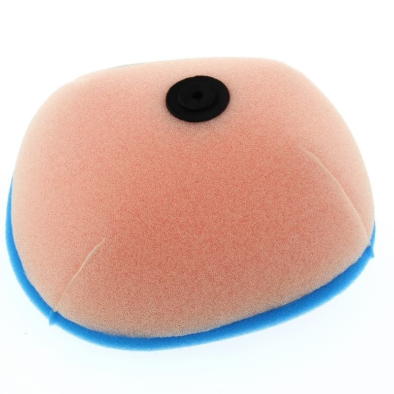 Tecnium Luchtfilter 2 Layers - 0236