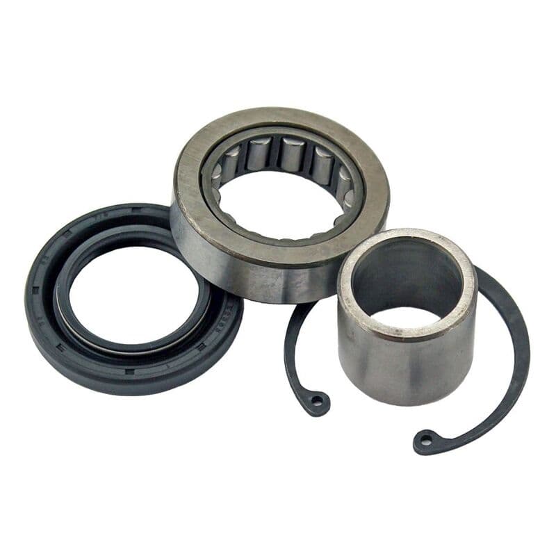 All Balls Primary Inner Bearing & Seal Kit Oem