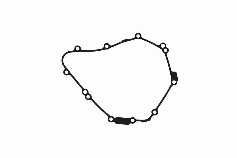 Centauro Generator Gasket