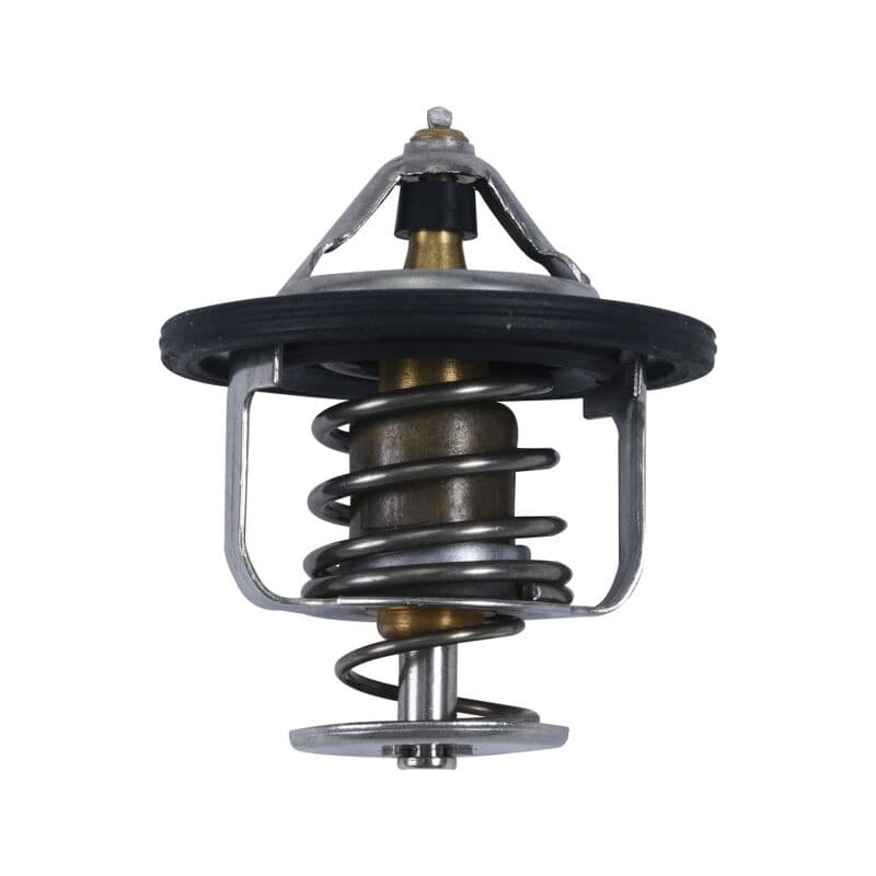 All Balls Thermostat