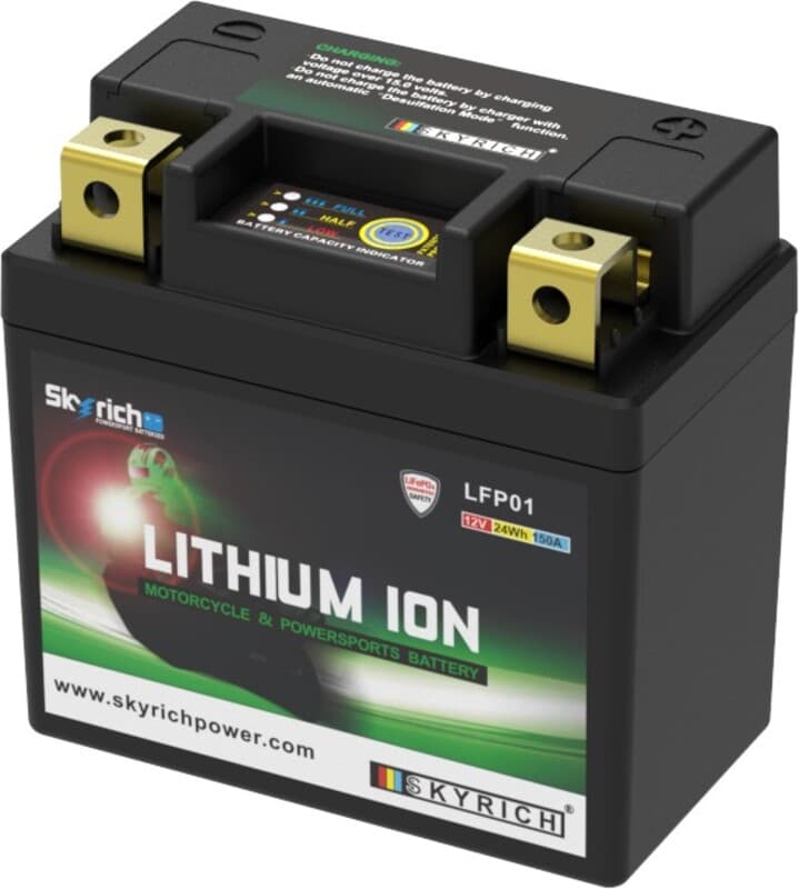 Skyrich Accu Lithium-Ion - Lfp01