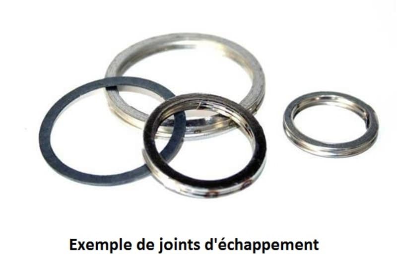 Centauro Exhaust Gasket