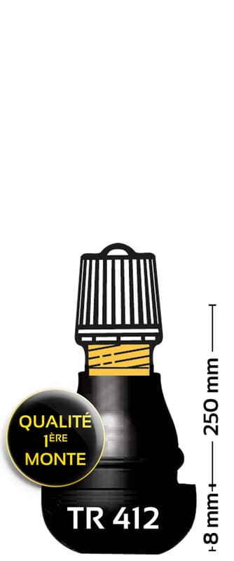 Bihr Tr412 Rubbered Band Valve - Pack Of 100
