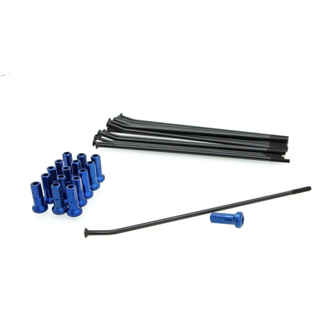 Zwart/Blauw