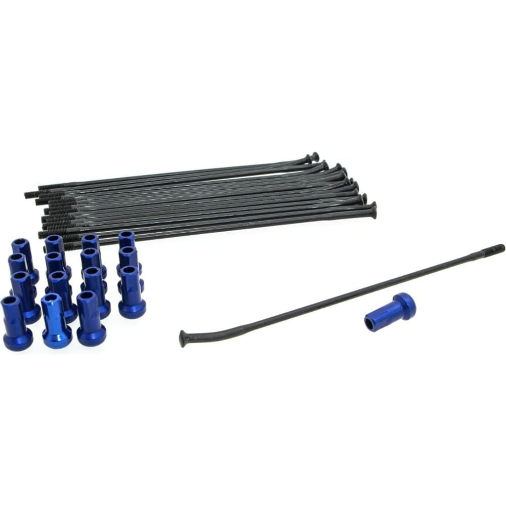 Zwart/Blauw