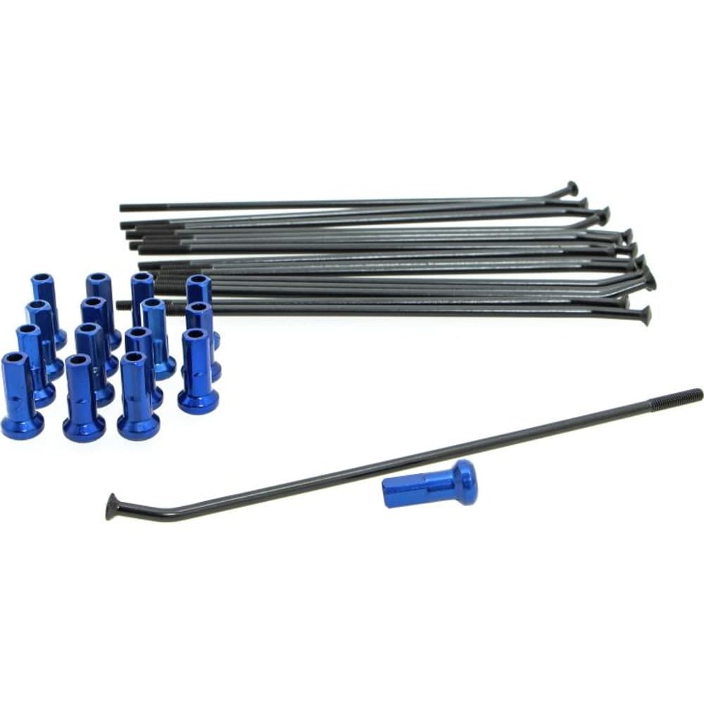Zwart/Blauw