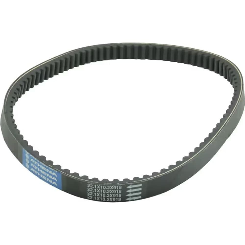 Athena Belt Tran 22.1x10.2x918
