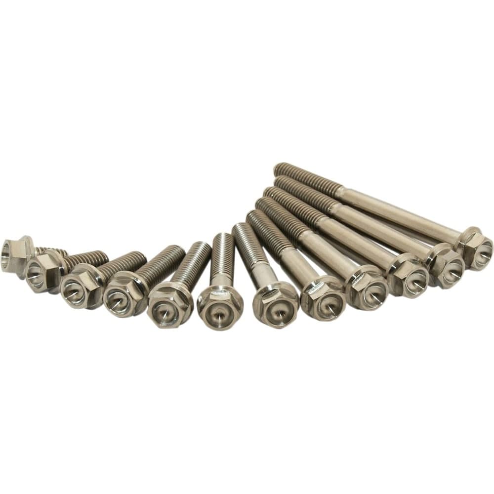 Scar Racing Titanium Bolt M6x45 Pack Of