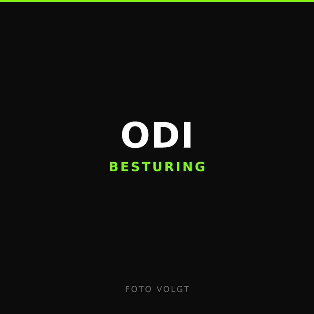 Grijs/Zilver