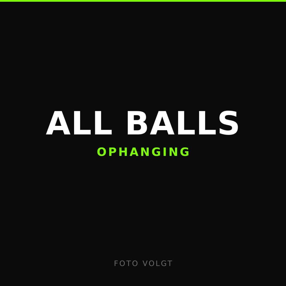 All Balls Vork Bus & Keerringset