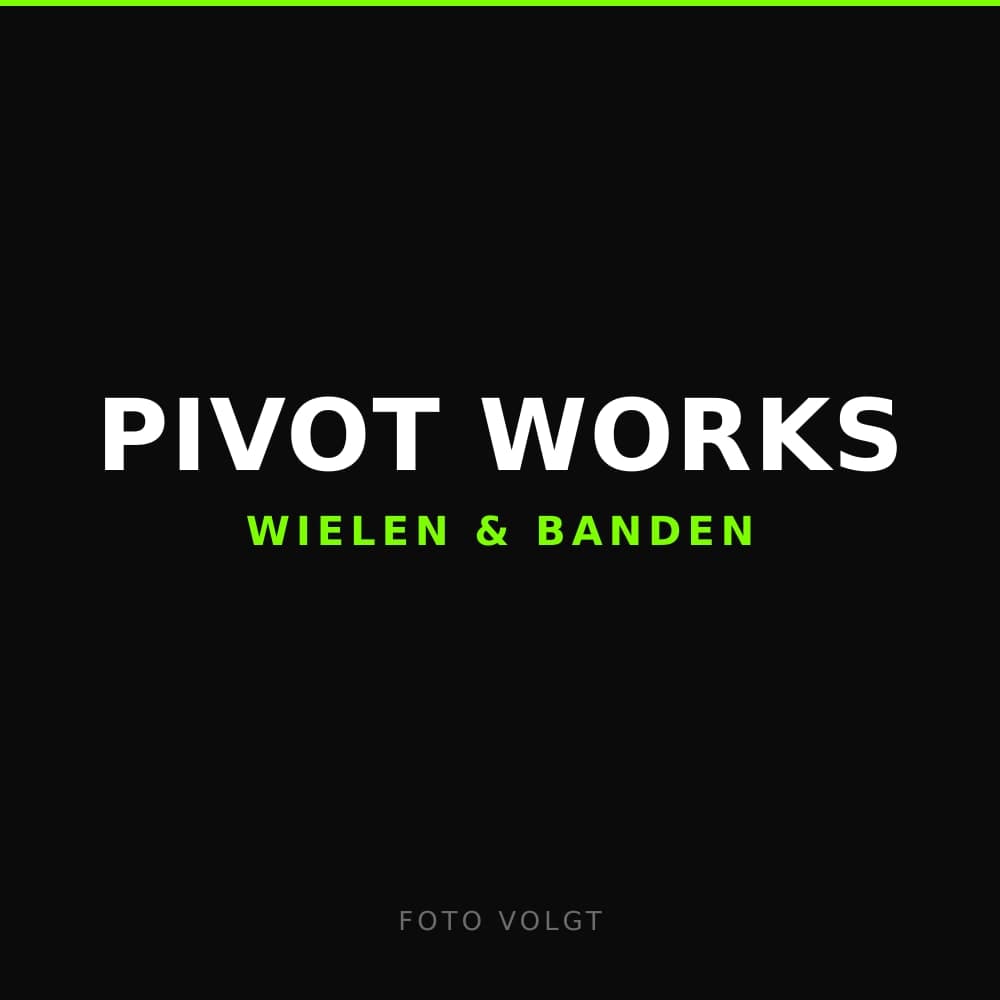Pivot Works Rear Wheel Bearings And Seals Kit