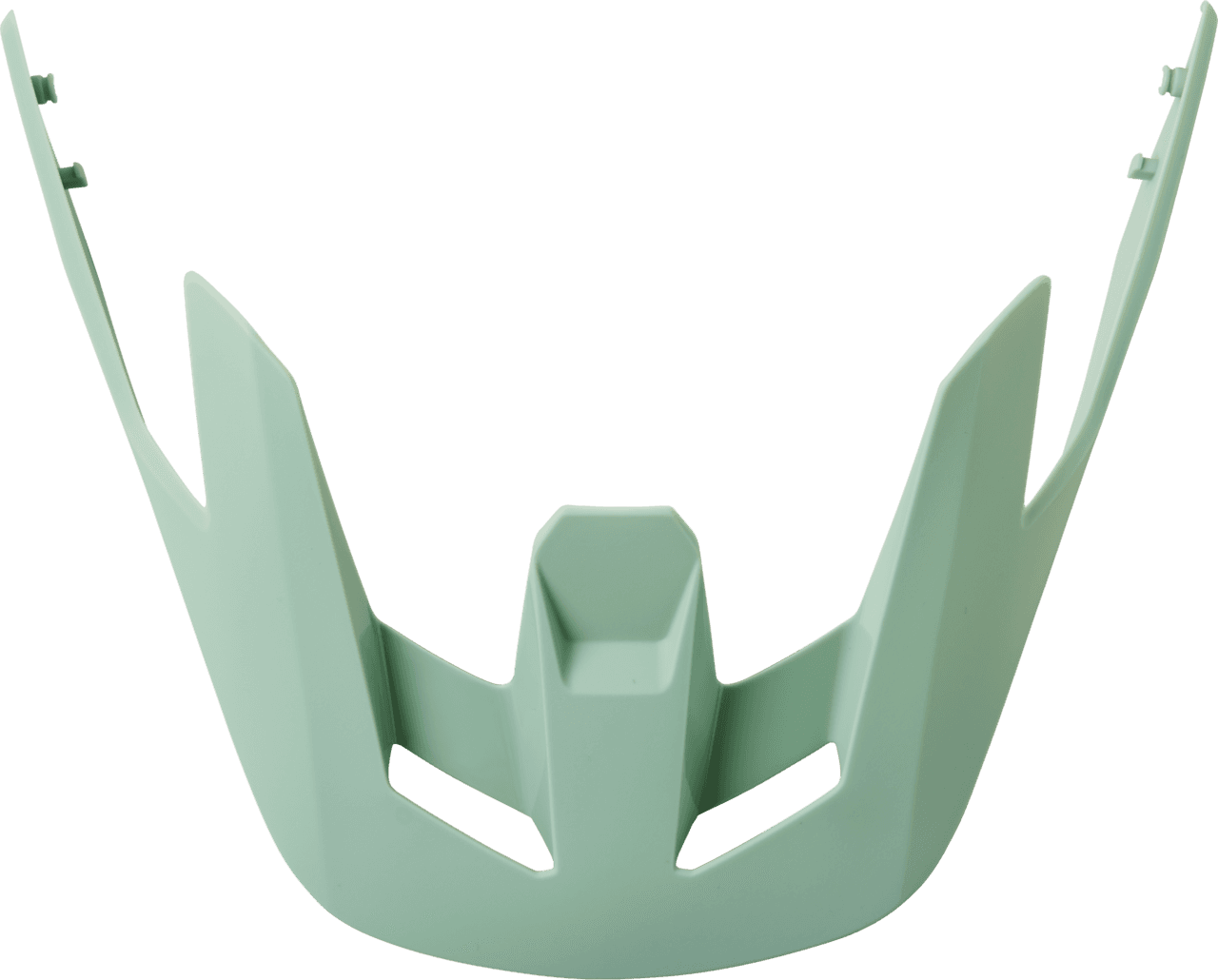 Eucalyptus