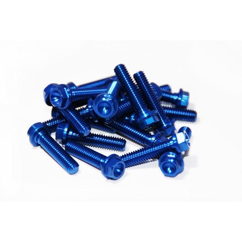 *TMV Flangeheadbolt Set RMZ Blauw