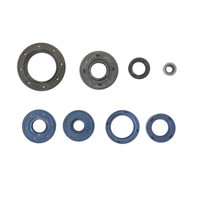 Athena Motorolie Seal Set Aprilia Pegaso 650 91-00