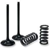 ProX Valve And Spring Inlet Kit YZ/WR450F